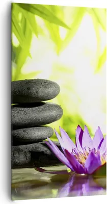 Produktbild von Bild auf Leinwand - Leinwandbild - Spa bambus blume wasser - 65x120cm - Wand Bild - Wanddeko - Leinwanddruck - Bilder - Kunstdruck - Wanddekoration - Leinwand bilder - Wandkunst - PA65x120-2477
