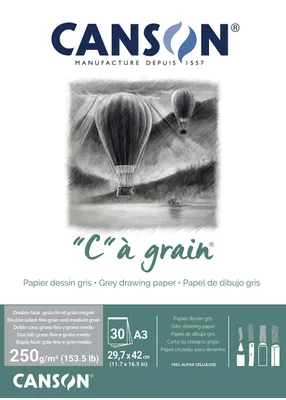 Immagine prodotto di CANSON blocco carta da disegno "C" à grain Couleur grigio screziato DIN A3 30 fogli