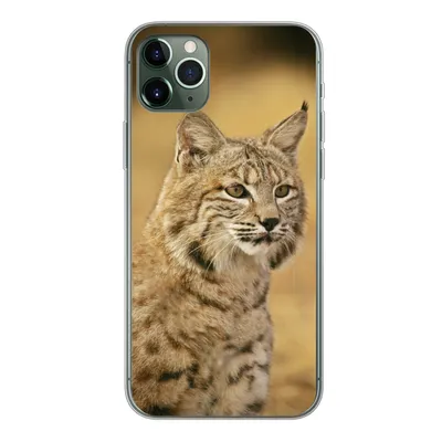 Produktbild von MuchoWow® Handyhülle Schutzhülle Hülle für iPhone 11 Pro Max Luchs - Braun - Gras Silikon Softcase Handy Hülle - Schutz