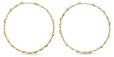 Produktbild von Fossil Damen Goldfarbener Edelstahl mit Ringverschluss Ohrringe