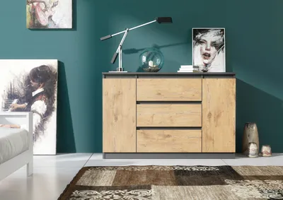 Obrázek produktu pro Praktická komoda o šířce 120 cm se 2 dvířky a 3 zásuvkami s velkým úložným prostorem
