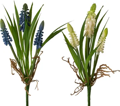 Produktbild von Künstliche Hyazinthen in 2 Farben 22 cm, 5_Farbe:Cremefarben