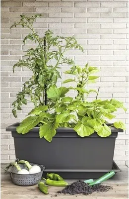 Produktbild von Balkonkasten Magnus XXL Kunststoff 98 x 38 x 37 cm anthrazit