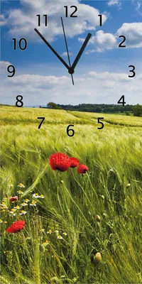 Produktbild von Wallario Design Wanduhr bedruckt, Größe 30 x 60 cm, Motiv: Mohnblumenwiese auf grüner Wiese unter blauem Himmel
