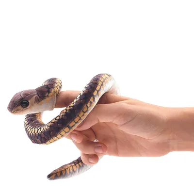 Produktbild von Folkmanis Mini Snake, Fingerpuppe, Tier, 1 Stück(e)