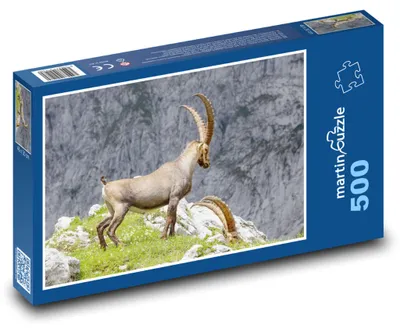 Zdjęcie produktu dla martinpuzzle - Puzzle 500 elementów - Koźrożec
