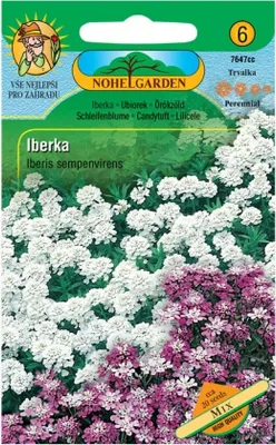 Obrázek produktu pro Iberka stálezelená, směs