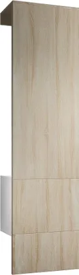 Produktbild von Vladon Garderobe Carlton Set 5,  Germany, Garderobenset bestehend aus 1 Garderobenpaneel mit integrierter Tür und 1 Kleiderstange, Weiß matt/Eiche sägerau  (52 x 193 x 35 cm)