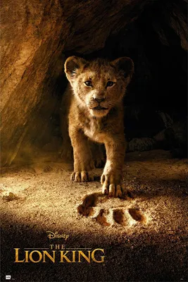 Image de Disney Le Roi Lion Poster Simba 91,5 x 61 cm
