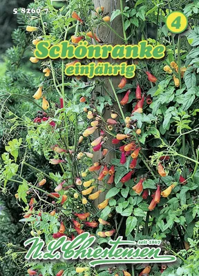 Produktbild von Schönranke | Blumensamen von N.L. Chrestensen