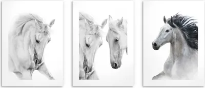 Produktbild von Poster für die Wand in der Küche Wohnzimmer Poster für Kinder Weiße Pferde 3x30x40
