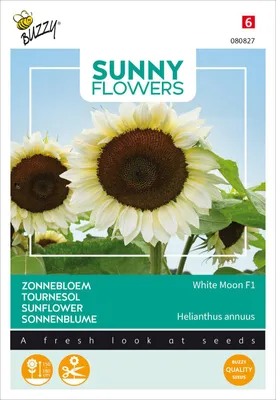 Artikelbild 2 von 'Sonnenblume White Moon F1' aus der Kategorie Sonnenblumensamen