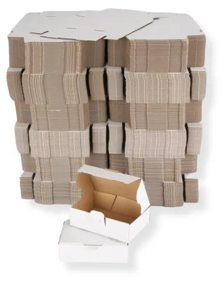 Produktbild von Maxibriefkarton DIN A6 - 160 x 110 x 50 mm / DHL Kleinpaket, weiß 600 Stück