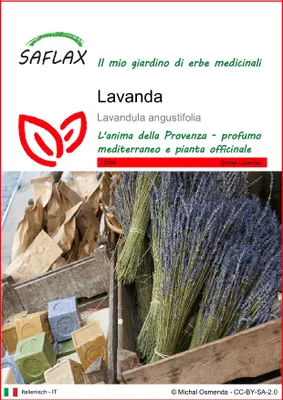 Immagine prodotto di SAFLAX  - Lavanda - 150 semi - Lavandula
