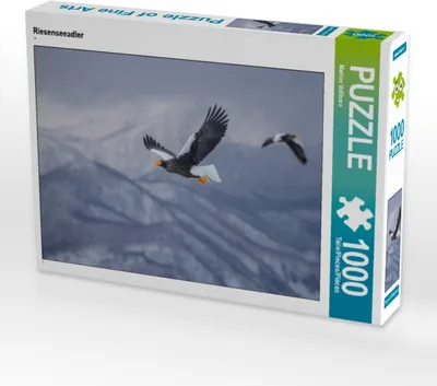Produktbild von CALVENDO Puzzle Riesenseeadler 1000 Teile Puzzle quer | 1000 Teile Lege-Größe 64x48cm Foto-Puzzle für glückliche Stunden