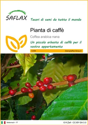 Immagine prodotto di SAFLAX  - Pianta di caffè - 8 semi - Coffea