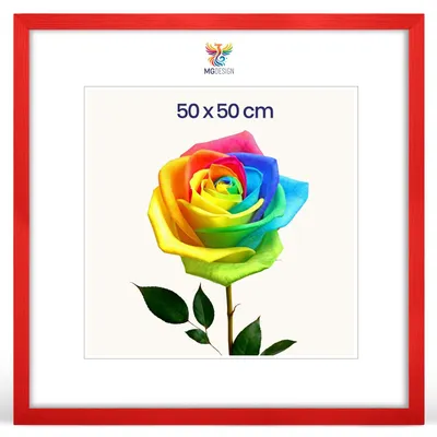 Produktbild von MG Design Bilderrahmen 50 x 50 cm - Posterrahmen mit Rot Holzrahmen (Echtholz) und bruchsicherem Acrylglas, Hoch & Quer mit stabiler Wandaufhängung