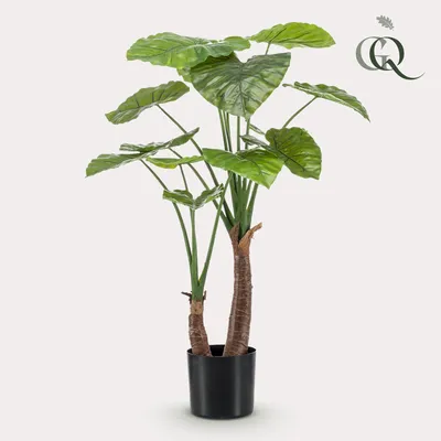 Produktbild von Kunstpflanze - Alocasia - Elefantenohr - 110 cm