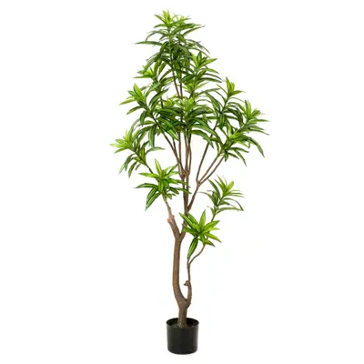 Zdjęcie produktu dla Szmaragdowe sztuczne drzewo smoka 155 cm Zielony