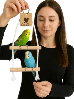 Produktbild von Natürliche Doppel-Hängematte Aus Birkenholz Für Kleine Papageien Von Parrotplanet