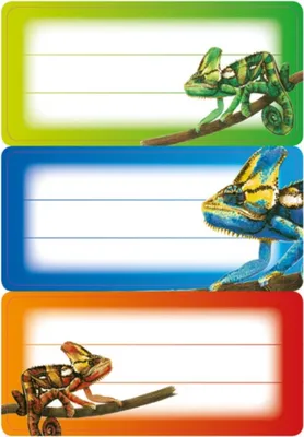 Produktbild von Buchetiketten Vario Schule Gecko VE=10x3 Blatt