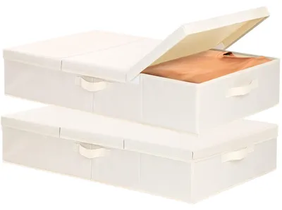Obrázek produktu pro Omgoods - Skládací úložné sáčky na oblečení s víkem, béžové, 2 kusy
