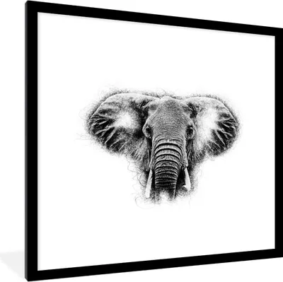 Produktbild von MuchoWow® MuchoWow® Gerahmtes Poster Elefant - Tiere - Schwarz - Weiß 40x40 cm - Poster mit zchwarzem Bilderrahmen - Poster - Plakat im Rahmen