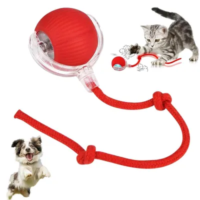 Interaktiver Katzenball, 360° Rollbewegung, USB-aufladbar, rot