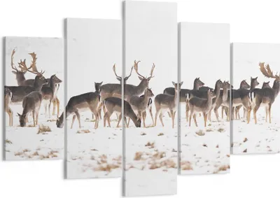 Produktbild von Bild auf Leinwand - Leinwandbild - Hirsch Winter Tierwelt Landschaft - 150x100cm - Wand Bild - Wanddeko - Leinwanddruck - Bilder - Kunstdruck - Leinwand bilder - Wandkunst - EA150x100-3144