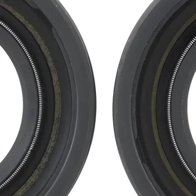 Obrázek produktu pro Olejové těsnění Malossi Ø 20x35x7mm FKM / PTFE
