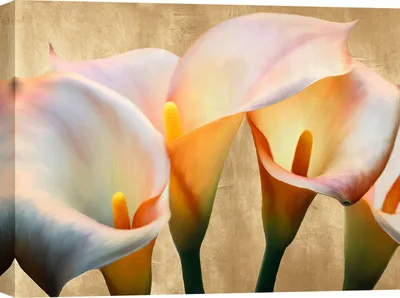 Productafbeelding van Kunstafdruk op canvas, bloemen - Luca Villa, Jewel Callas - 120x90 cm