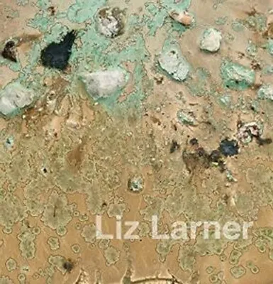 Produktbild von Liz Larner