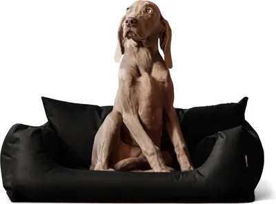 Produktbild von tierlando NEMO Hundebett Hundesofa S M L Hundekorb Katzenbett 65 80 100cm - Größe: 65x50cm | Farbe: 03 Schwarz