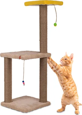 Image de Arbre à chat XL 82 cm – Arbre à chat avec colonne à griffer, jouets et surfaces de repos, stable et durable, idéal pour grimper, jouer et faire ses griffes