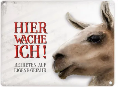 Produktbild von Metallschild mit Lama Motiv und Spruch: Betreten auf eigene Gefahr ... Schild