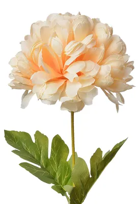 Produktbild von Clayre & Eef Kunstblume 80 cm Gelb Kunststoff