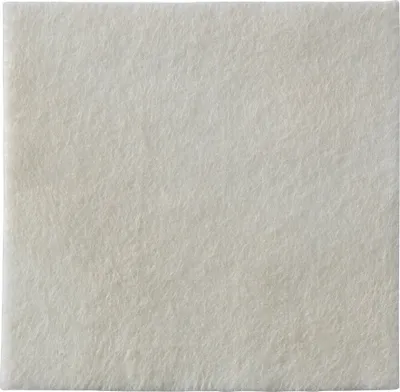 Image de Compresses Biatain Alginate 15x15 cm 10 pces