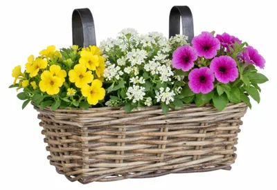 Produktbild von Hangekorb fur Pflanzen - 30 x 19 x 15 cm - geflochten - hangendes Gelander Pflanzgefas - Halterungen