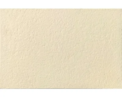 Produktbild von Terrassenplatte Scalpellinata creme 60 cm x 40 cm x 3,9 cm