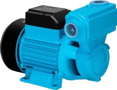 Immagine prodotto di KRAFT&DELE | Pompa da giardino, 750 W, 55 l/min, tappo di riempimento acqua, tappo di scarico acqua