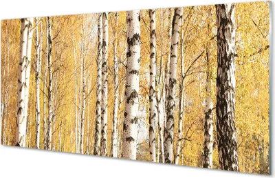 Produktbild von Glasbilder 140x70 Wandkunst Bäume im Herbst