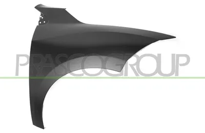Produktbild von PRASCO RN4243033 Kotflügel Vorne Rechts für RENAULT MEGANE III Grandtour (KZ0/1) Megane III Schrägheck (BZ0/1)