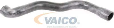 Image de VAICO Tuyau de radiateur Q+, qualité d'origine