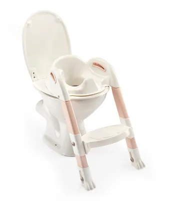 A child's toilet training seat with a ladder attachment is placed on top of a standard toilet.