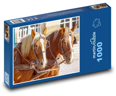 Obrázok produktu pre Puzzle 1000 Dva kone v záprahu - martinpuzzle