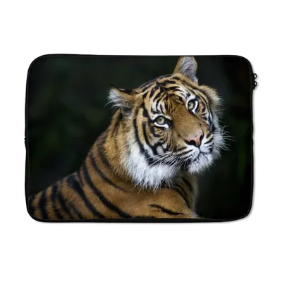 Produktbild von MuchoWow® Laptop Hülle 14 ZollTiger - Porträt - Schwarz Laptoptasche - Laptoptasche - Stoßsicher - Schutzhaube