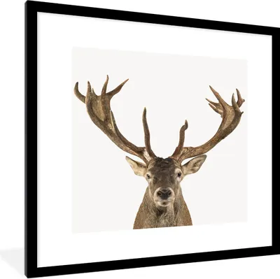Produktbild von MuchoWow® Gerahmtes Poster Hirsche - Tiere - Geweihe - Kinder - Jungen 40x40 cm - Poster mit Schwarzem Bilderrahmen Wandposter Rahmen Foto Bilder - Poster - Plakat im Rahmen