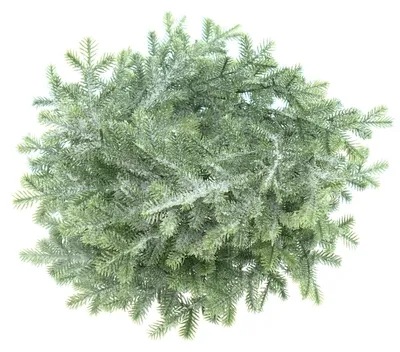 Produktbild von GASPER Weihnachtsdeko Taxuskranz Grün geeist Ø 28 cm - Kunstpflanzen