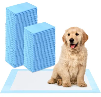 Imagen del producto de Almohadillas absorbentes para el entrenamiento de cachorros, 50 unidades, 60 x 60 cm, ideales para la educación de cachorros
