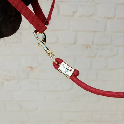 Immagine prodotto di Kentucky Basic Führstrick Rot 2 m Rot 2 m